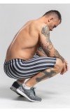 Тайтсы Devil Stripe